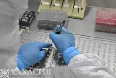 Штамм «омикрон»: симптомы, риски, инкубационный период
