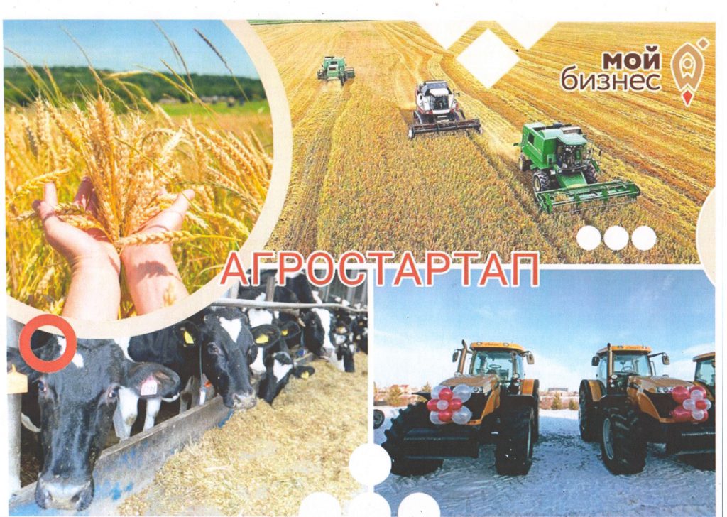 Минсельхозпрод Хакасии приглашает на конкурс грантов «Агростартап»