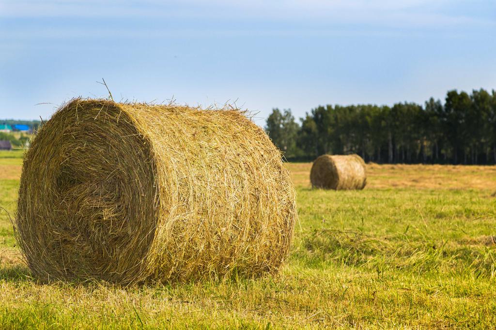 Храните сено безопасно