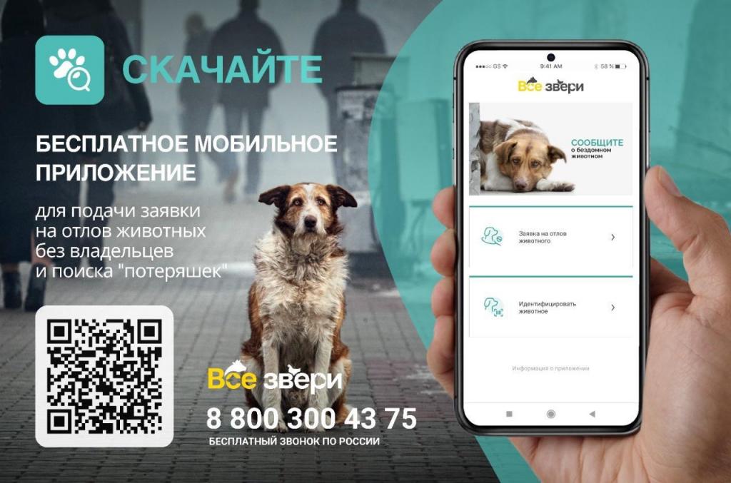 Внимание! Отлов животных без владельцев по Аскизскому району