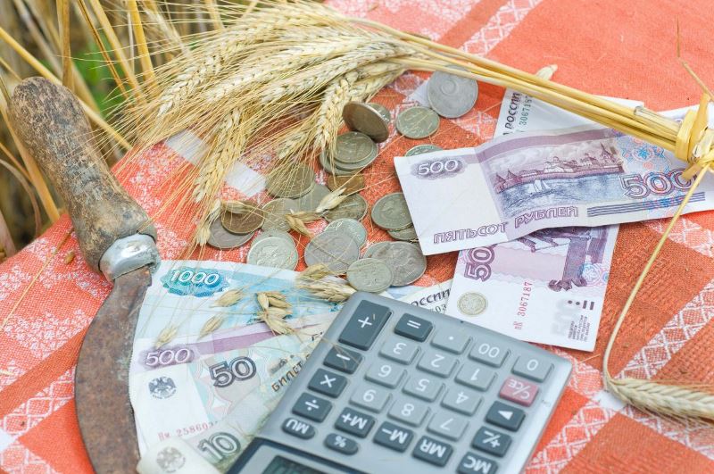 Гранты для сельскохозяйственной потребительской кооперации