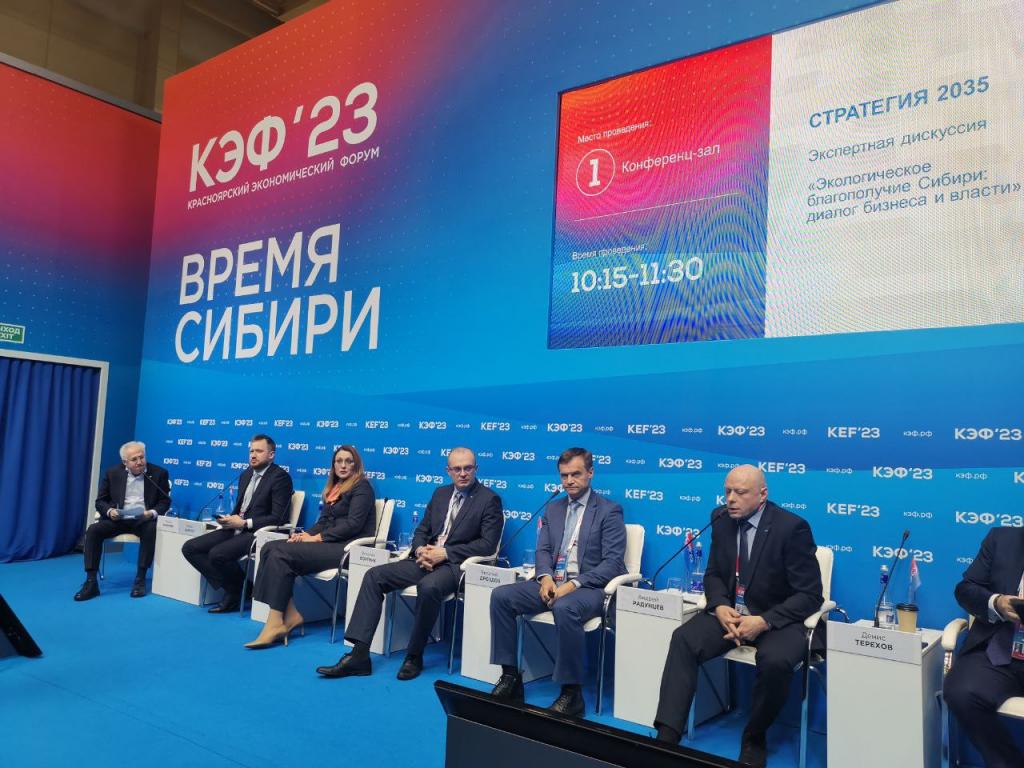 Перевод частного сектора на электроотопление может стать ключевым этапом улучшения экологической обстановки в Сибири