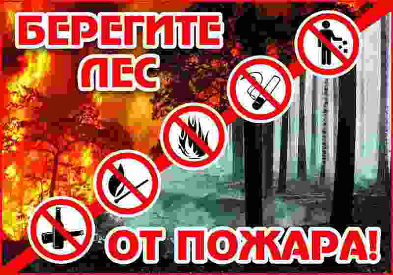 В Хакасии растёт количество ландшафтных пожаров