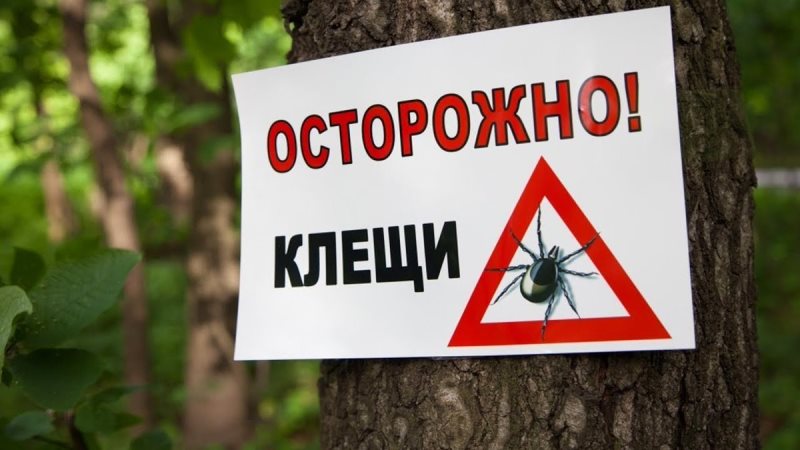 Осторожно, клещи