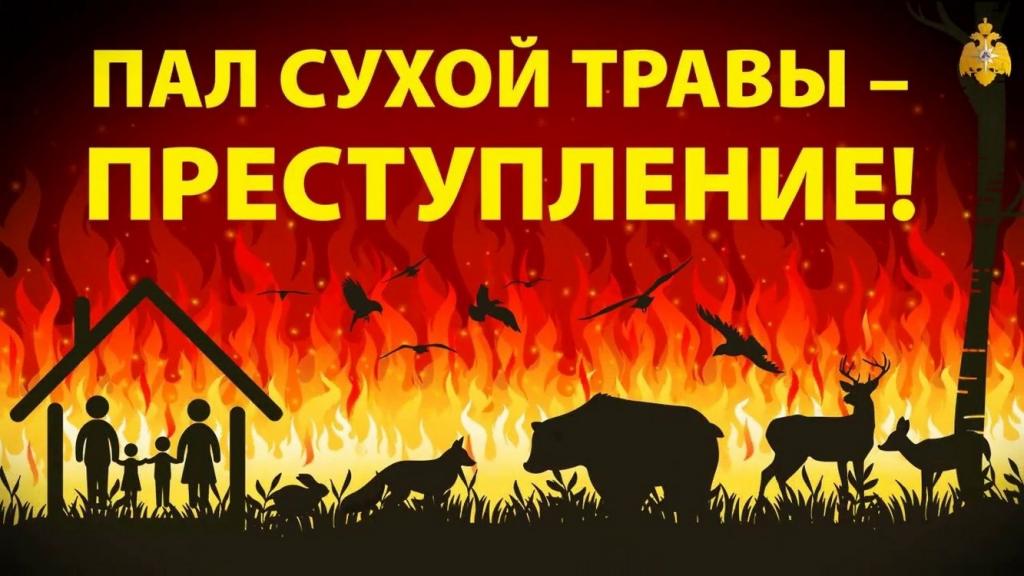 В Хакасии растёт количество ландшафтных пожаров