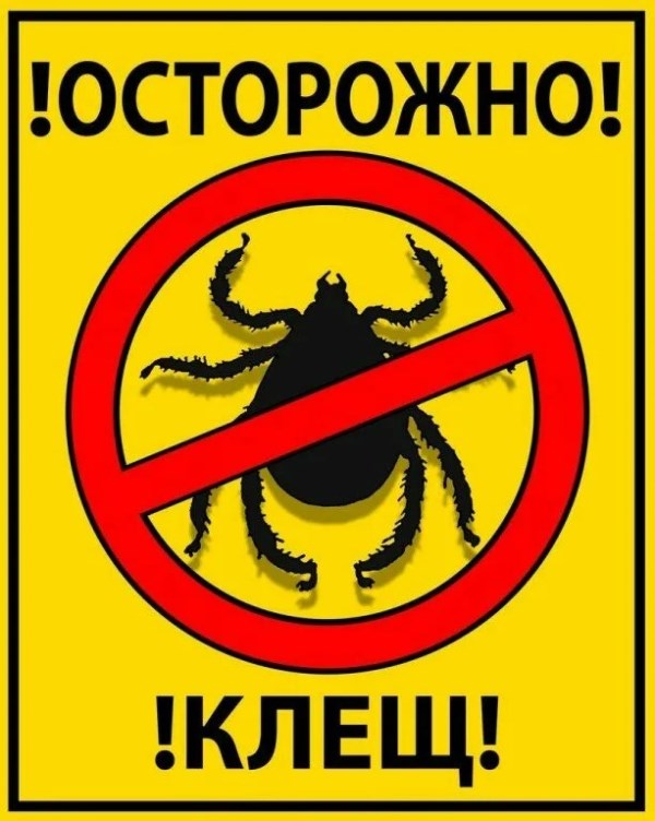 Клещи снова вышли на охоту 