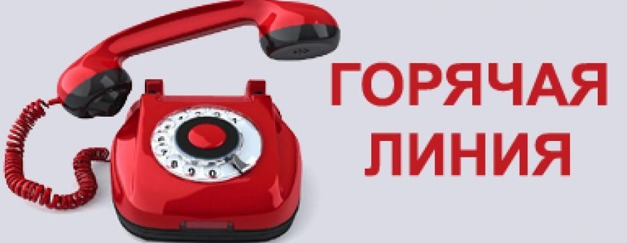 «Горячая» линия для некоммерческих организаций