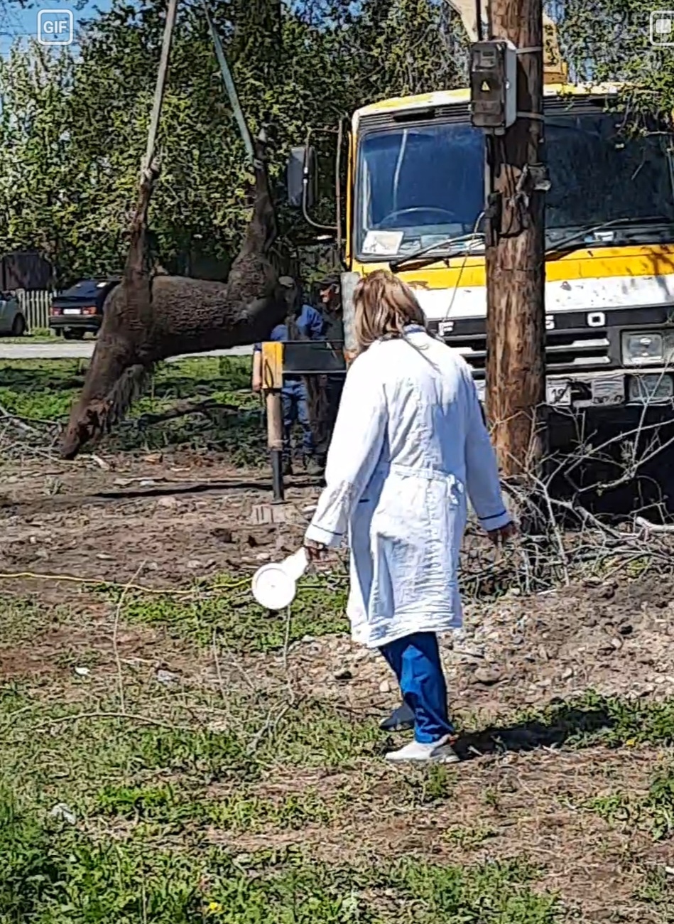 В селе Аскиз лошади оказались в котловане