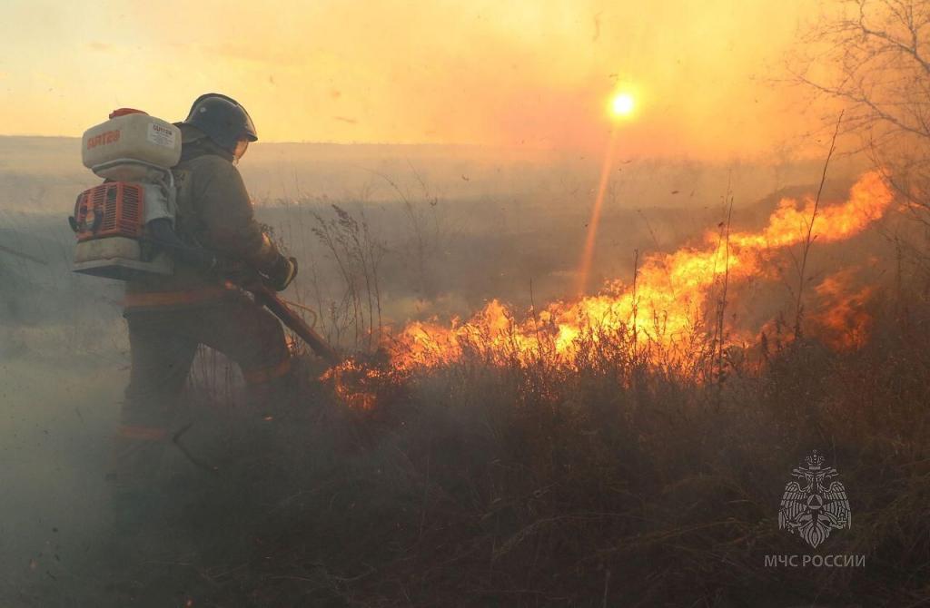 Чем отличается пожароопасный сезон от особого противопожарного режима?