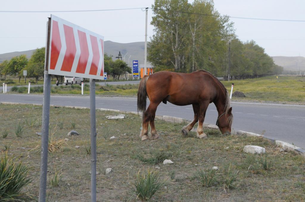 Уважаемые, жители Аскизского района!